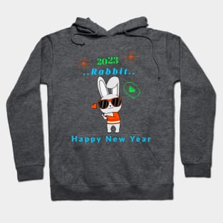 Year Of The Rabbit 2023 Hoodie